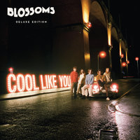 Giving Up The Ghost - Blossoms