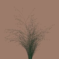 O Kolorach - Mikromusic