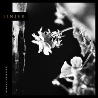 Wallflower - Jinjer