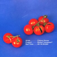 Motion - Colony House