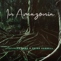 Before You Know It - Isildurs Bane, Peter Hammill
