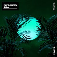 Flames - David Guetta, Sia, Leandro da Silva