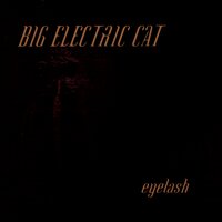 Transience - Big Electric Cat