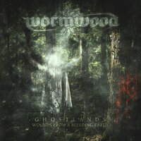 Silverdimmans Återsken - Wormwood