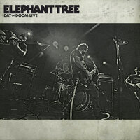 Dawn - Elephant Tree
