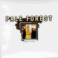 Mother Cocoon - Pale Forest