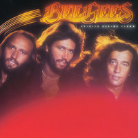 Stop (Think Again) - Bee Gees