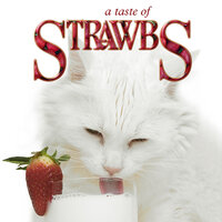 Going Home - Strawbs