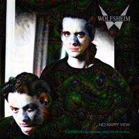 A Look Into Your Heart - Wolfsheim