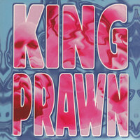 Boxed & Packaged - King Prawn