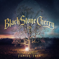 Get Me Over You - Black Stone Cherry