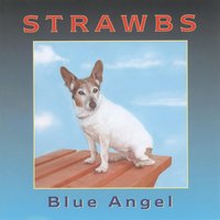 The plain - Strawbs