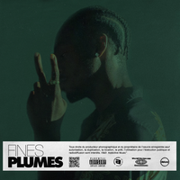 Comme un rat dans l'coin - Fabe
