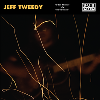 Jeff Tweedy