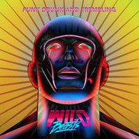Maze - Wild Beasts