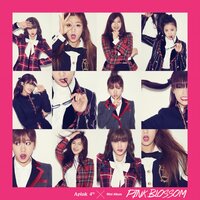 Crystal - Apink