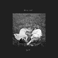 Streetlights - Wild Cub
