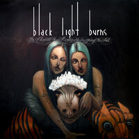 My Gun - Black Light Burns