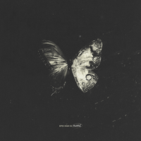 True Crime - Epik High, Miso