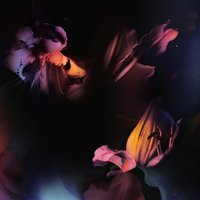 Slow Motion - MTNS