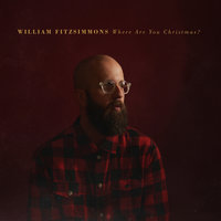 Warmer in the Cold - William Fitzsimmons