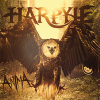 Anima - Harpyie