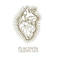 Bella Fruit Verona - Placenta