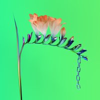 Trust - Flume, Isabella Manfredi