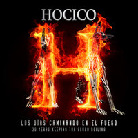 Fade Into Oblivion - Hocico