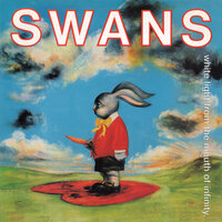 Failure - Swans