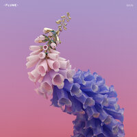 Take a Chance - Flume, Little Dragon