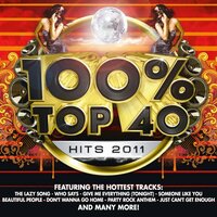 Party Rock Anthem - Audiogroove