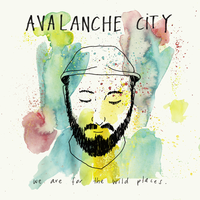 Wild Places I - Avalanche City