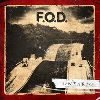 Like Them - F.O.D.