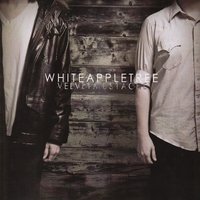 Broken Bones - White Apple Tree