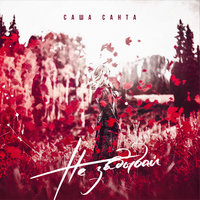 Не забывай - Саша Санта