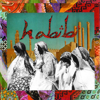 Sunsets - Habibi