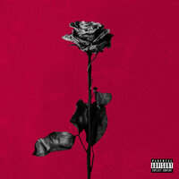 deadroses - blackbear