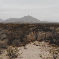 Still Beating - Austin Basham