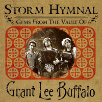 Fuzzy - Grant Lee Buffalo