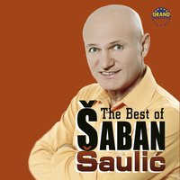 Virus - Saban Saulic