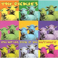 I'm OK, You're OK - The Dickies