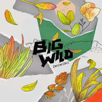 Invincible - Big Wild, iDA HAWK