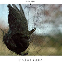 What Will Become of Us - Passenger