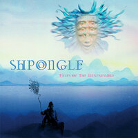 Room 23 - Shpongle