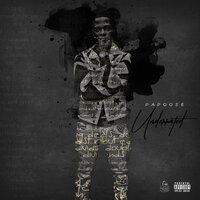 University Of The Streets - Papoose