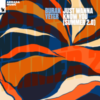 Wanna Know U - Burak Yeter