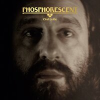 My Beautiful Boy - Phosphorescent