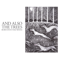 Winter Sea - And Also the Trees