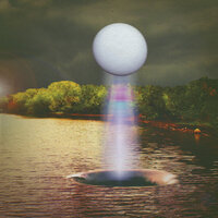 Nightingale - The Besnard Lakes